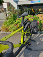 Wilier Triestina Adlar