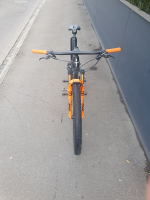 Wilier Triestina Urta SLR