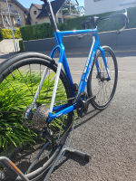 Wilier Triestina Filante SL