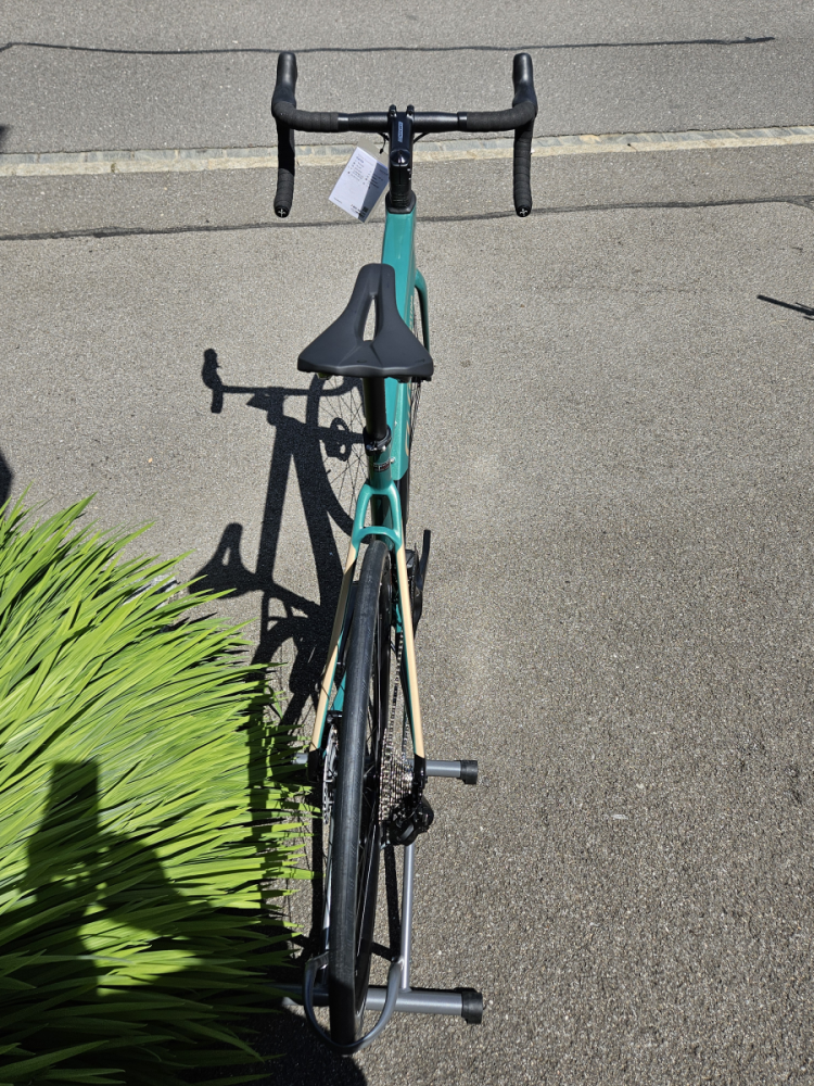 Wilier Triestina Garda