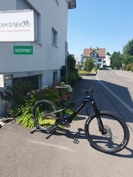 E- MTB, E-Gravel, E-Rennrad