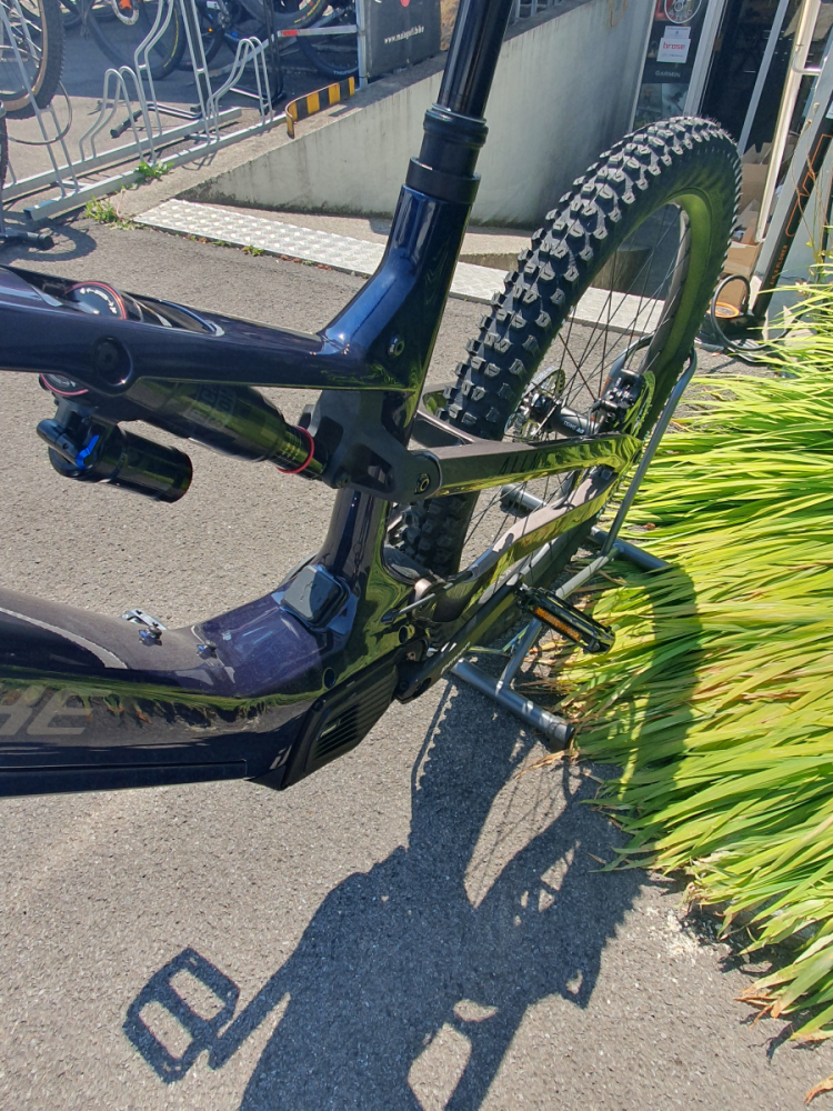 Haibike ALLMTN CF 10