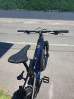 Haibike ALLMTN CF 10