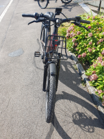 Winora Sinus FS R5f Pro ABS Low