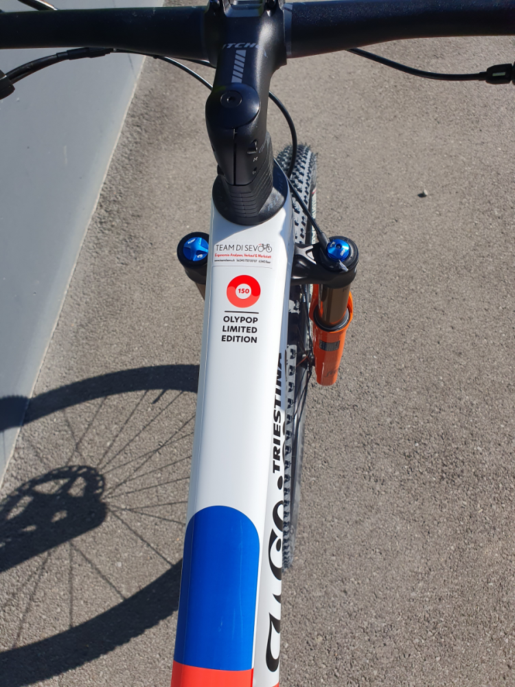 Wilier Triestina Urta Max SLR   Spezial Preis Olympia Lackierung