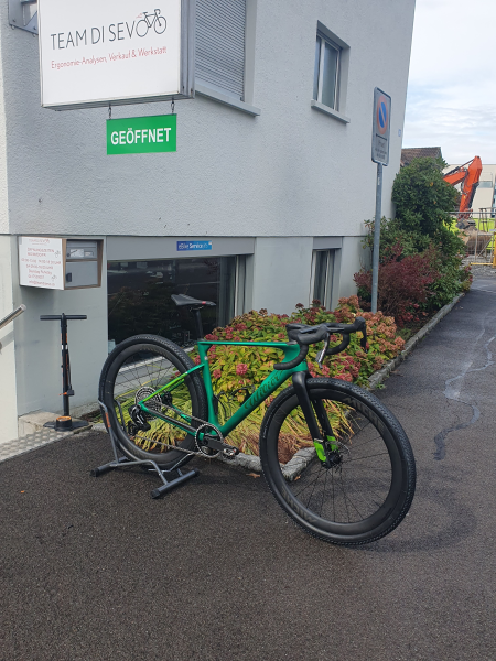 Wilier Triestina Rave SLR ID2