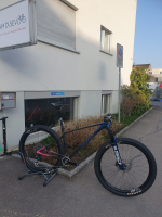 Ghost LECTOR WORLD CUP